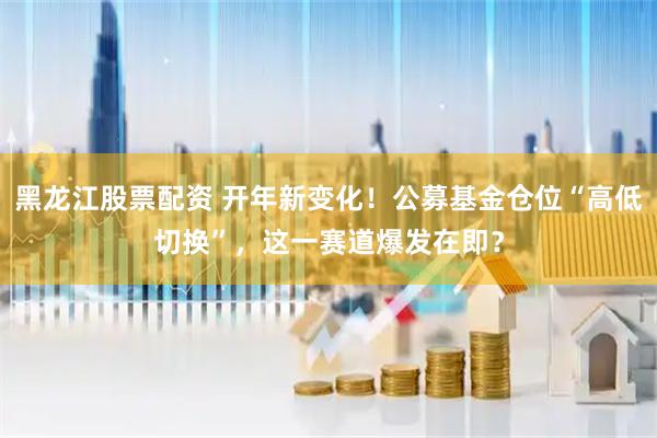 黑龙江股票配资 开年新变化！公募基金仓位“高低切换”，这一赛道爆发在即？